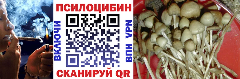 Псилоцибиновые грибы мицелий Иваново